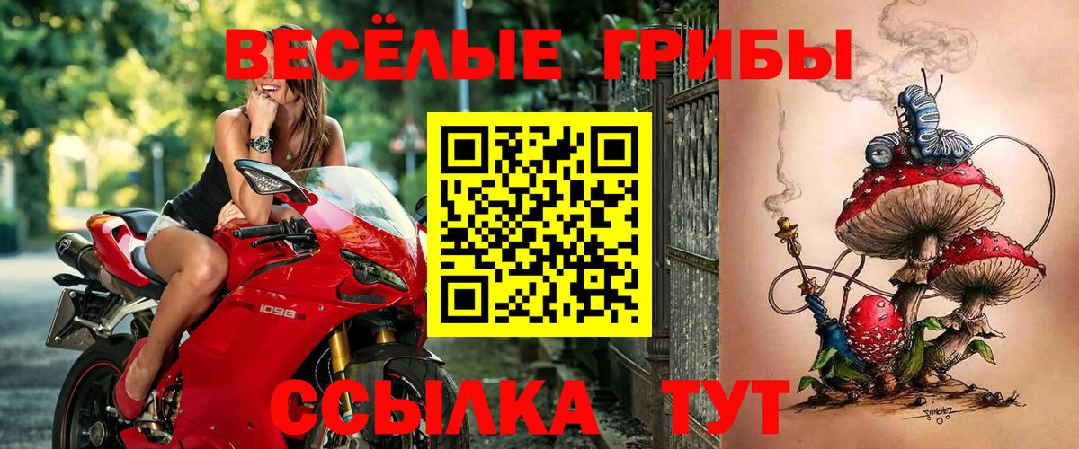 Галлюциногенные грибы мухоморы Гулькевичи