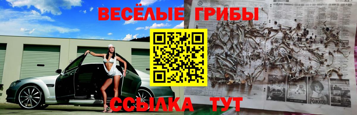 Псилоцибиновые грибы мухоморы  Вход с VPN  Гулькевичи 